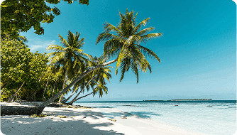 der touristik case study meiro