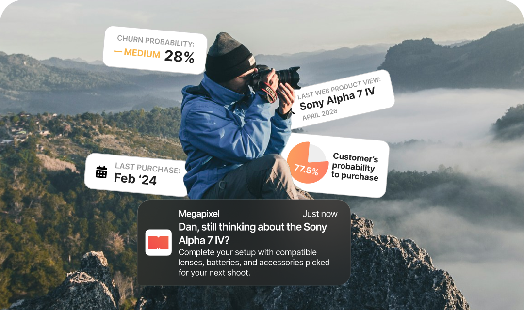 Megapixel case study