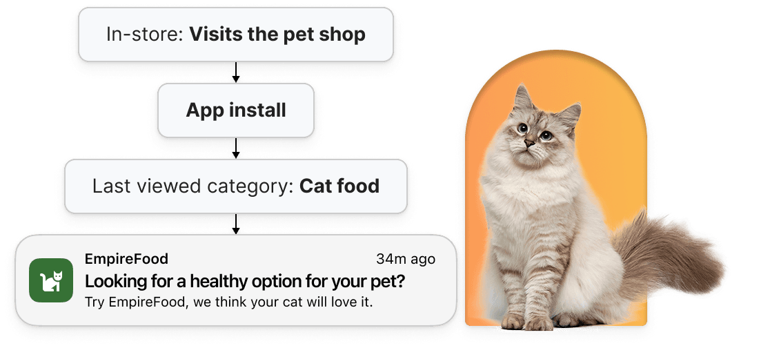 Nurture and cultivate loyalty with automated push notifications